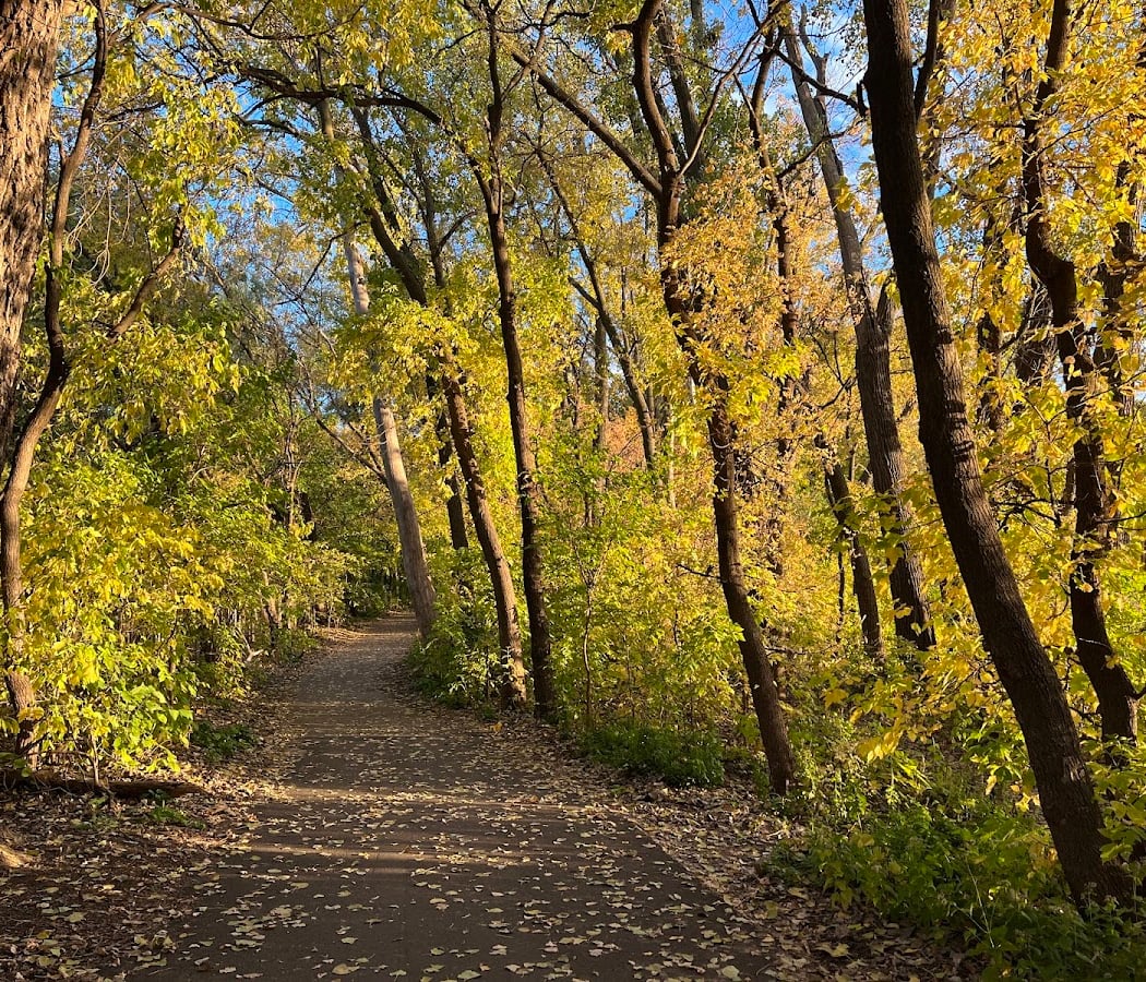Bird Hike 4