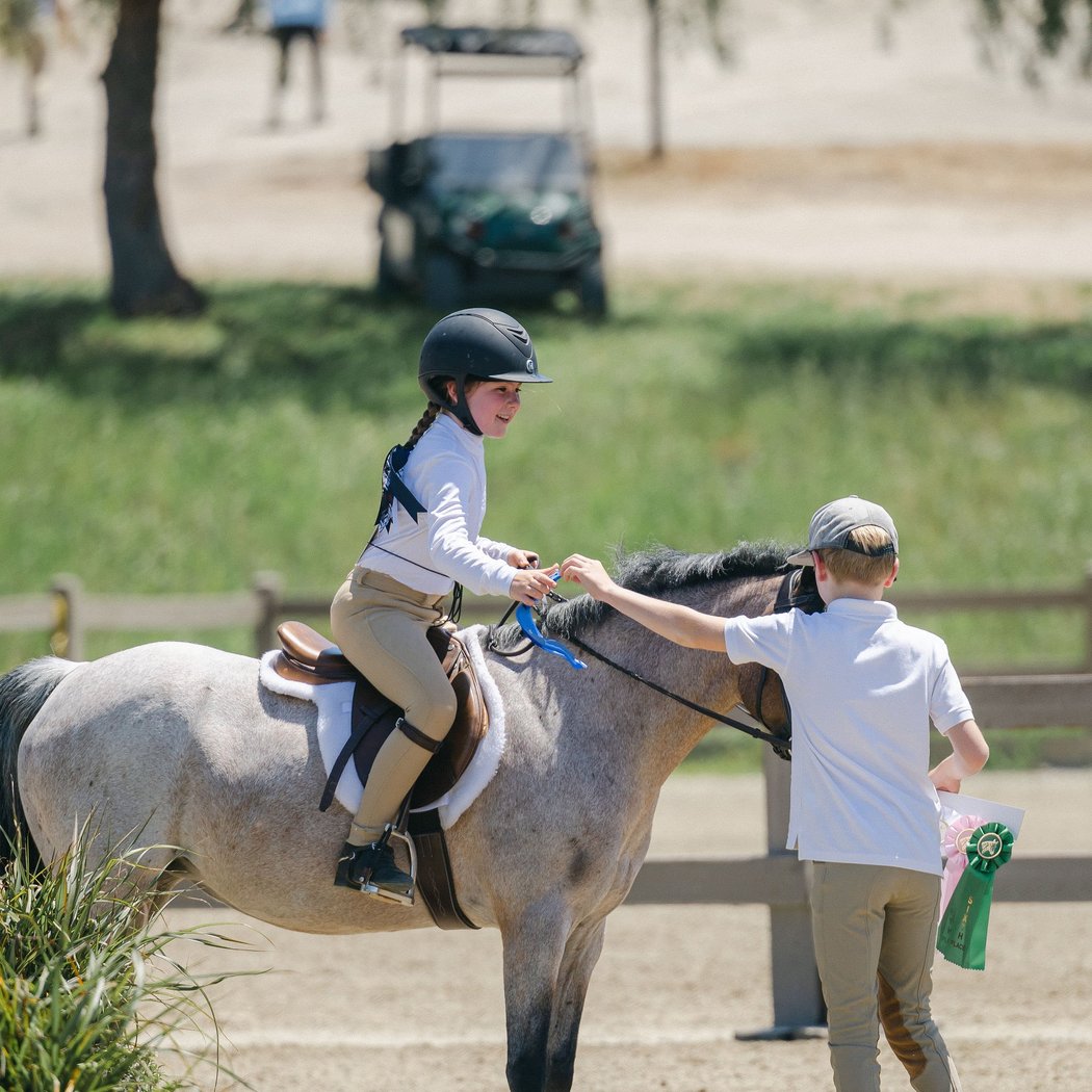Woodside Show Series 2
