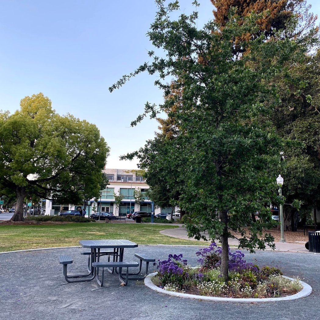 Cogswell Plaza 3