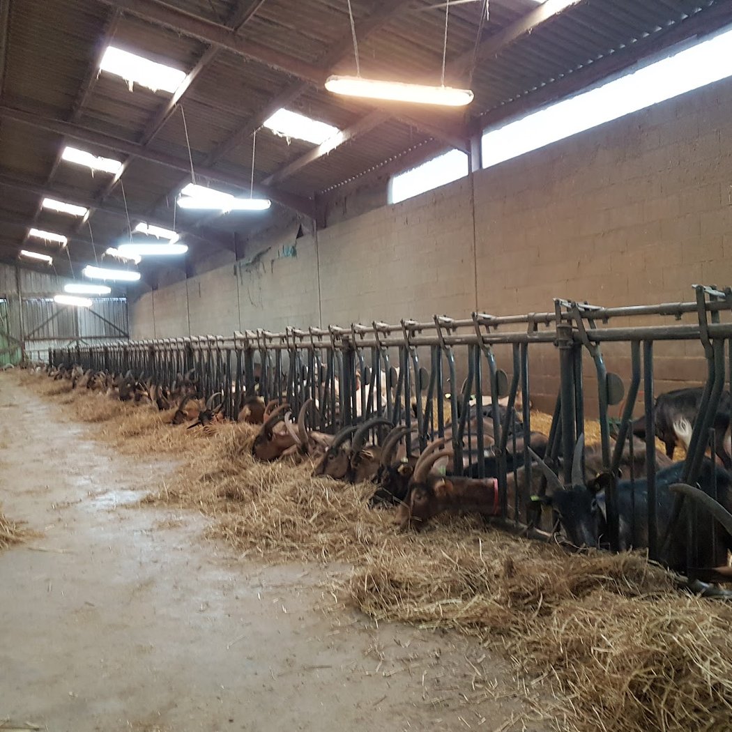 FERME BIOLOGIQUE GAEC PLAINE DE FOUMARD 3