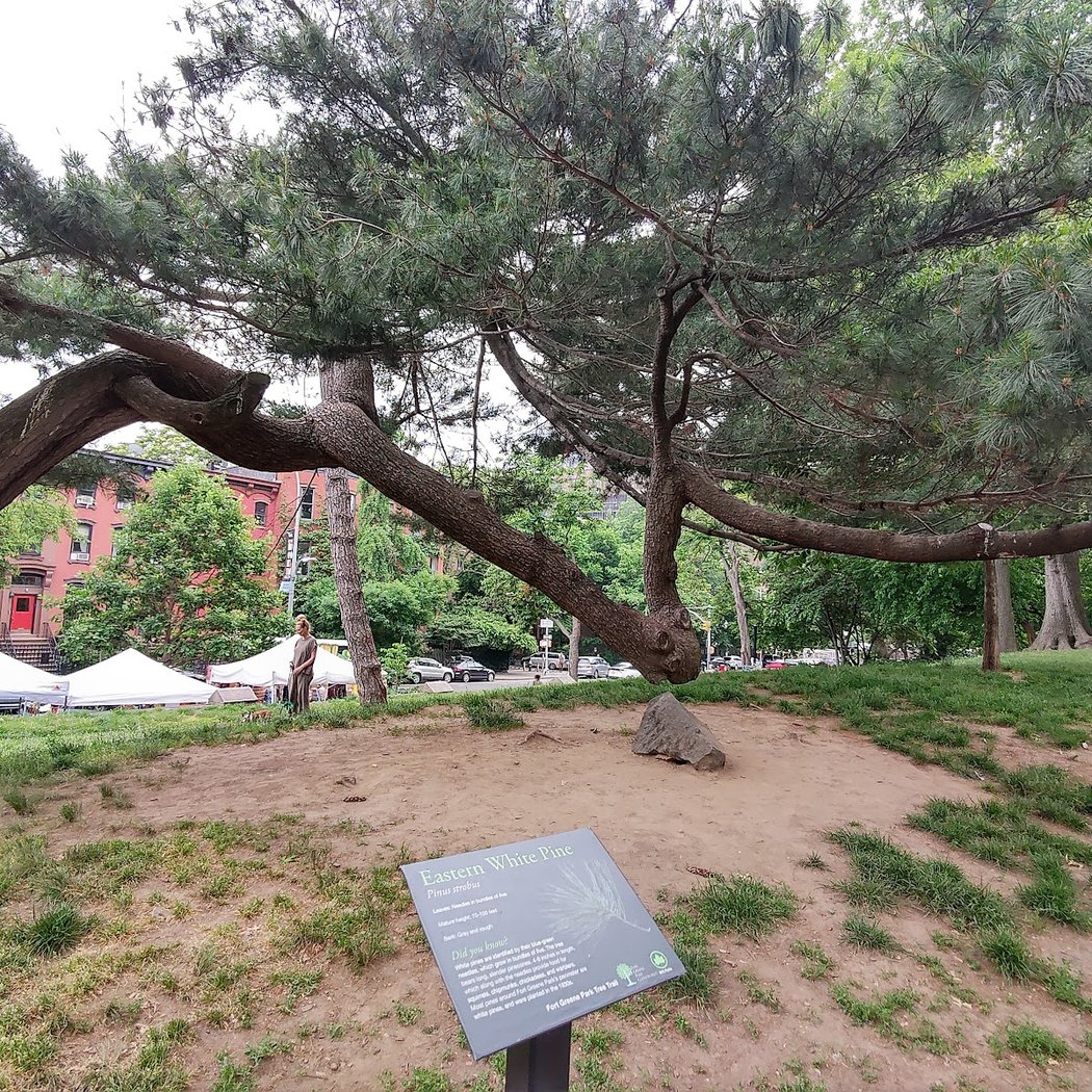 Fort Greene Playground South 3