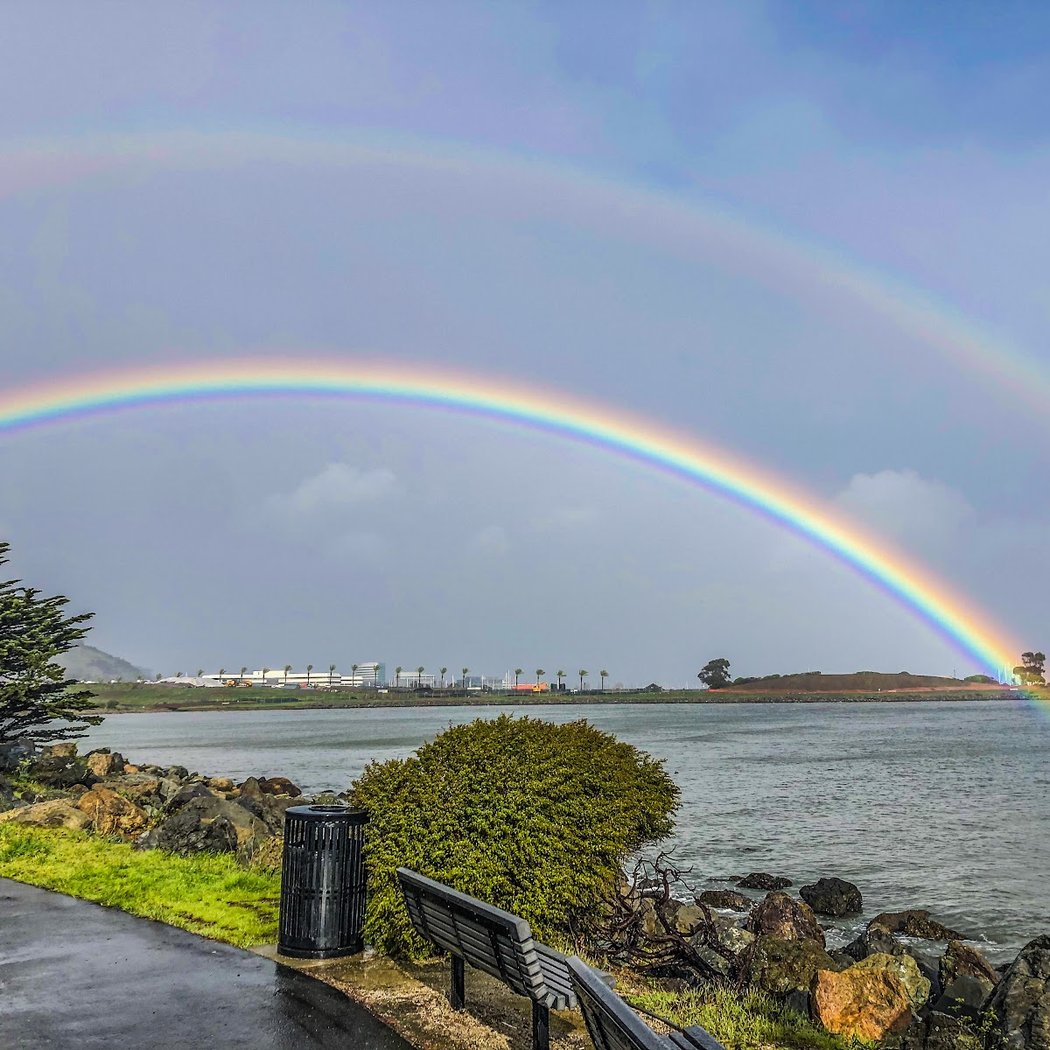 Bay Trail, Point San Bruno 1
