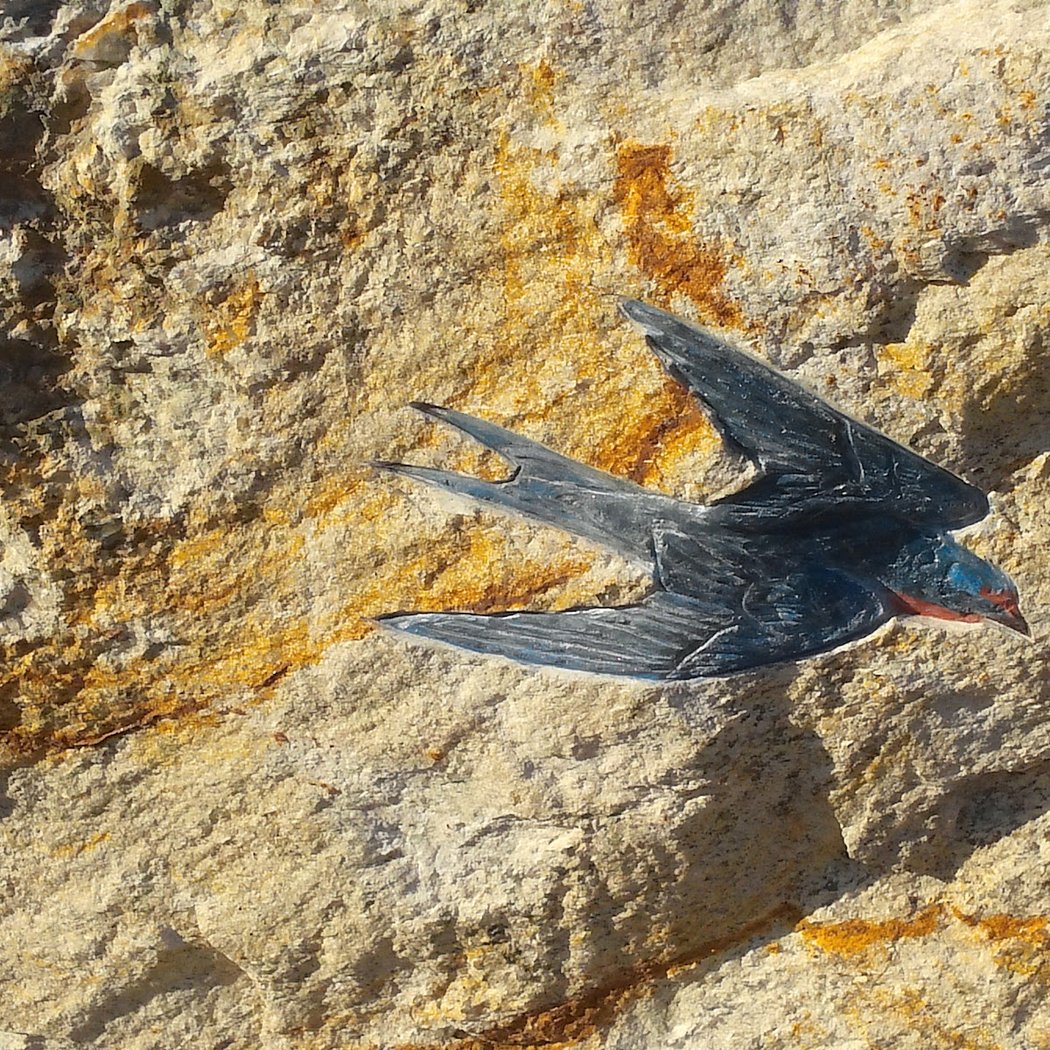Rockaway Petroglyph 2