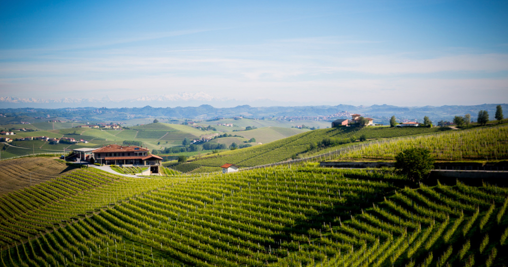 Nebbiolos Across Italy (including Barolo & Barbaresco) 1