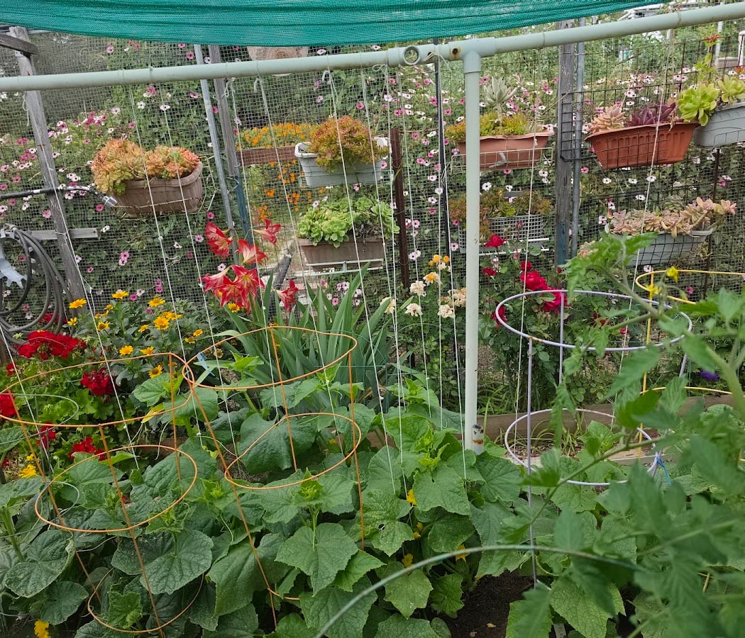Sepulveda Garden Center 3