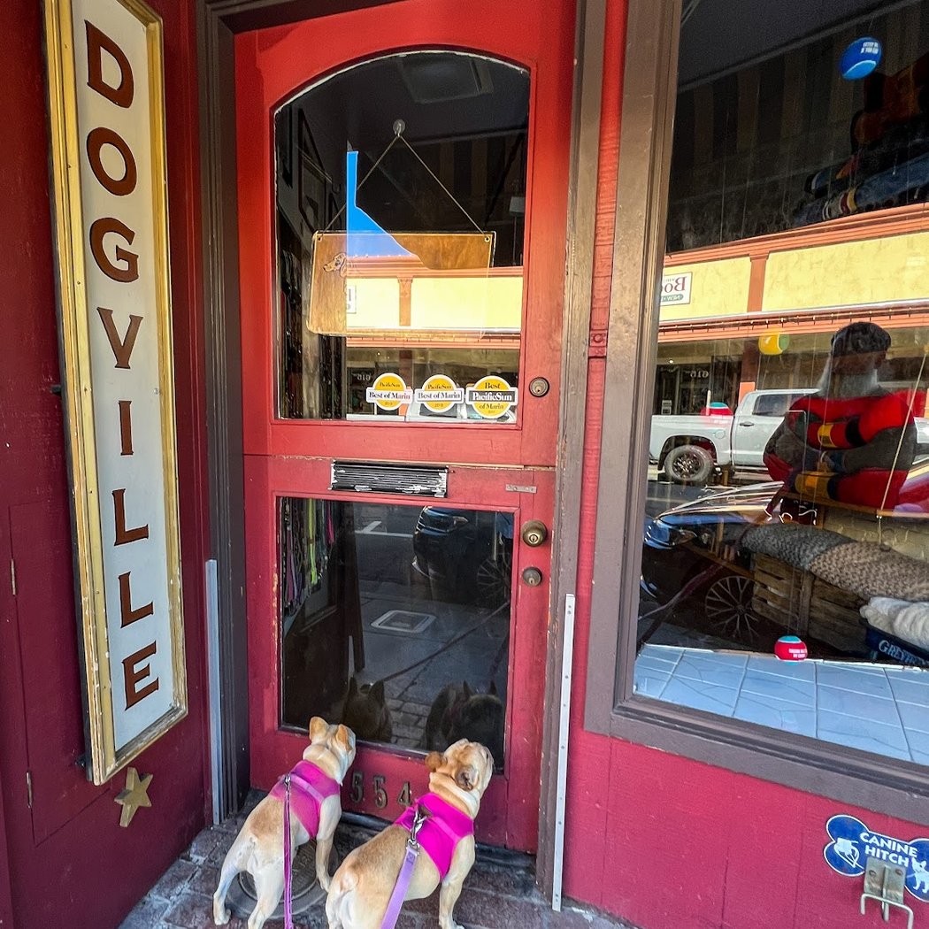 Dogville 3