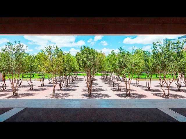 Kimbell Casual Fridays: Nature Walk 3