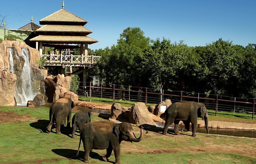 Oklahoma City Zoo 1