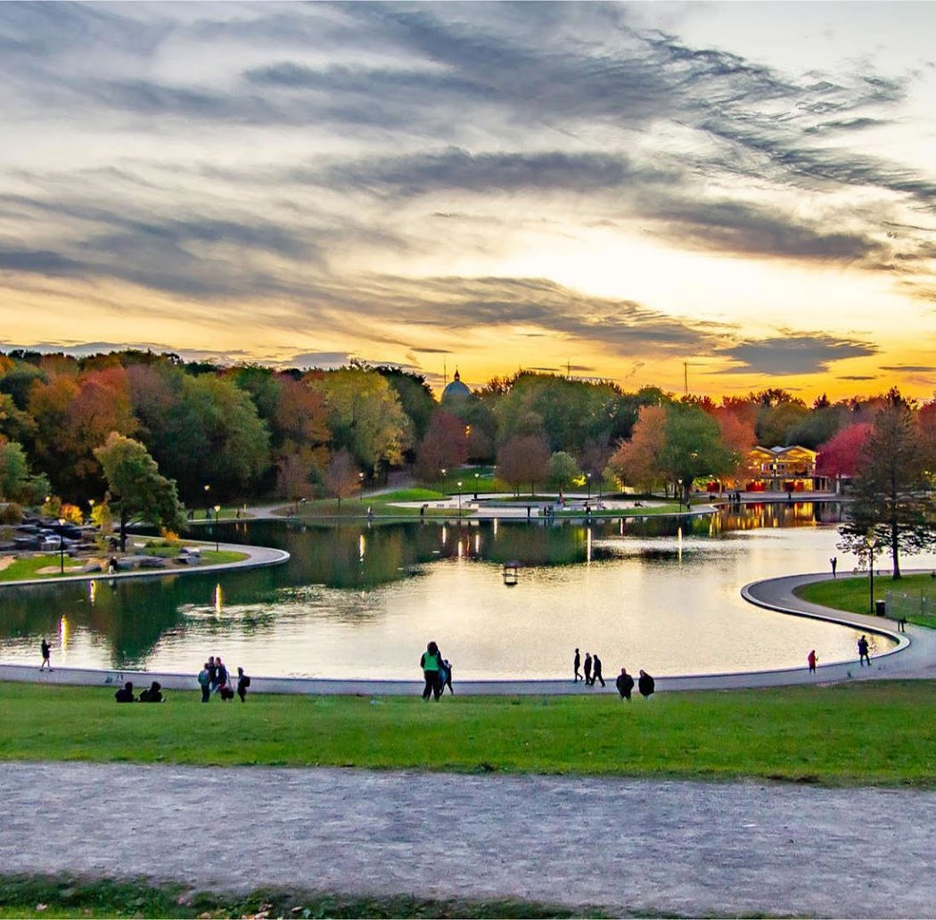 Mount Royal 5