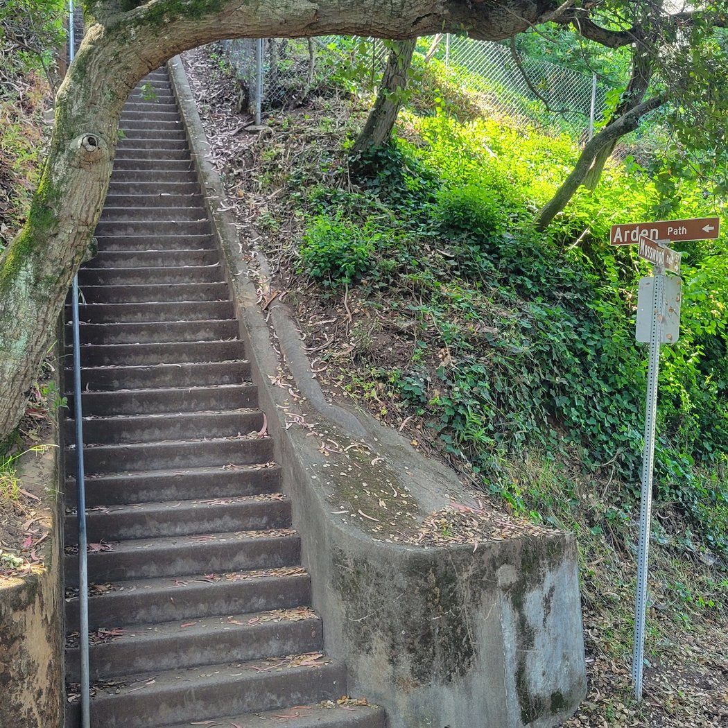 Arden Steps 2