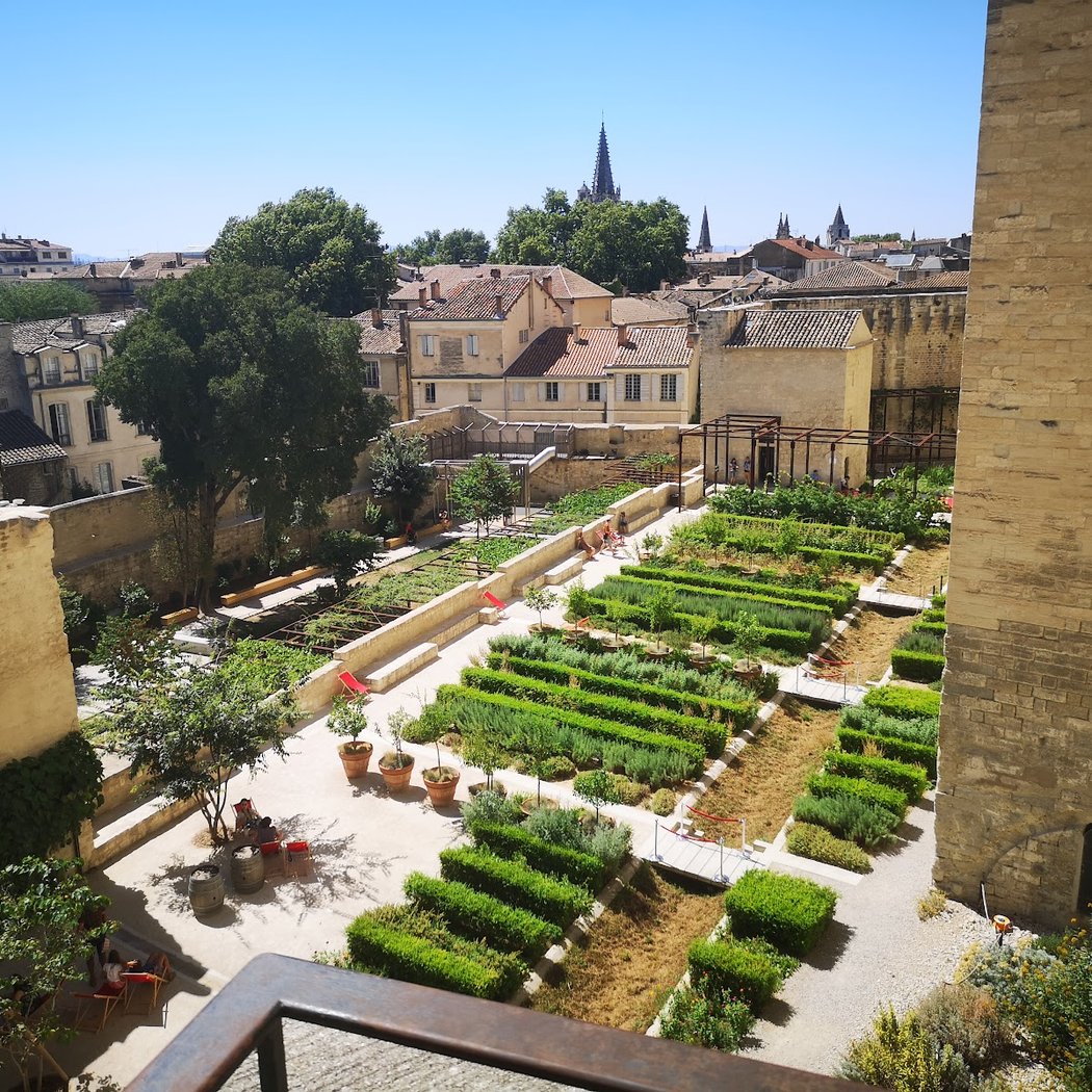 Gardens at the Popes’ Palace 2
