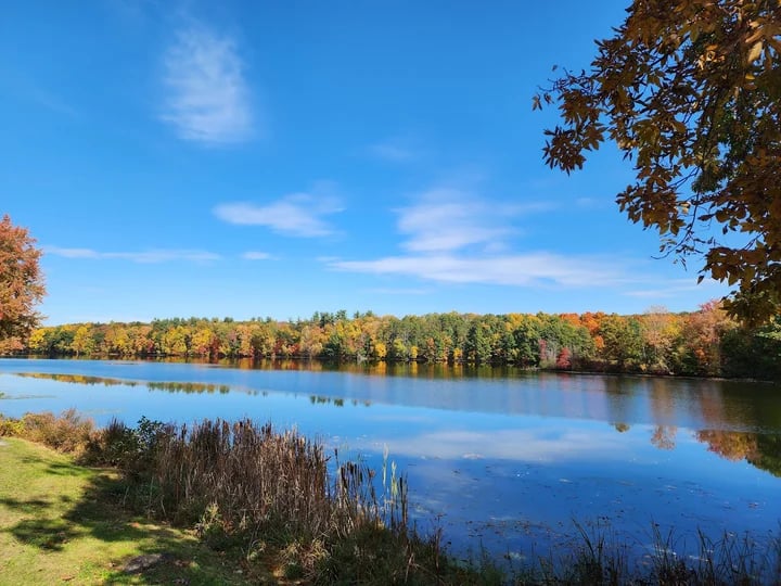 Chadwick Lake Park 1