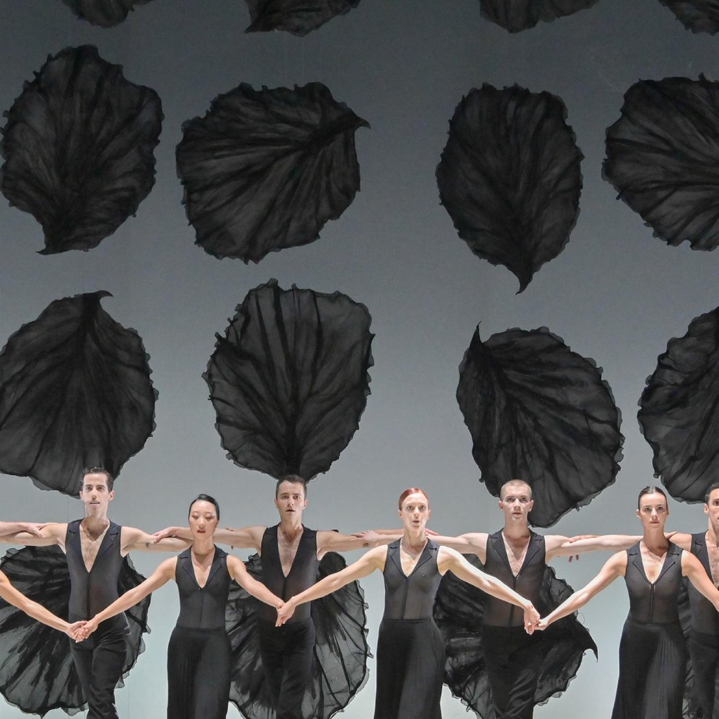 Malandain Ballet Biarritz : Les Saisons 2