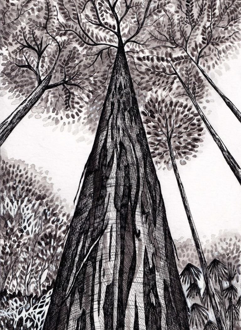 Arbres-Mondes 1