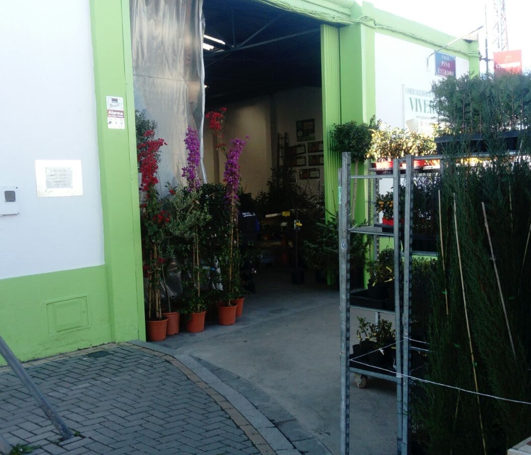 Plantas El Pino-vivero 2