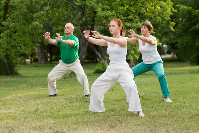 Chi Kung For High-Level Wellness 2