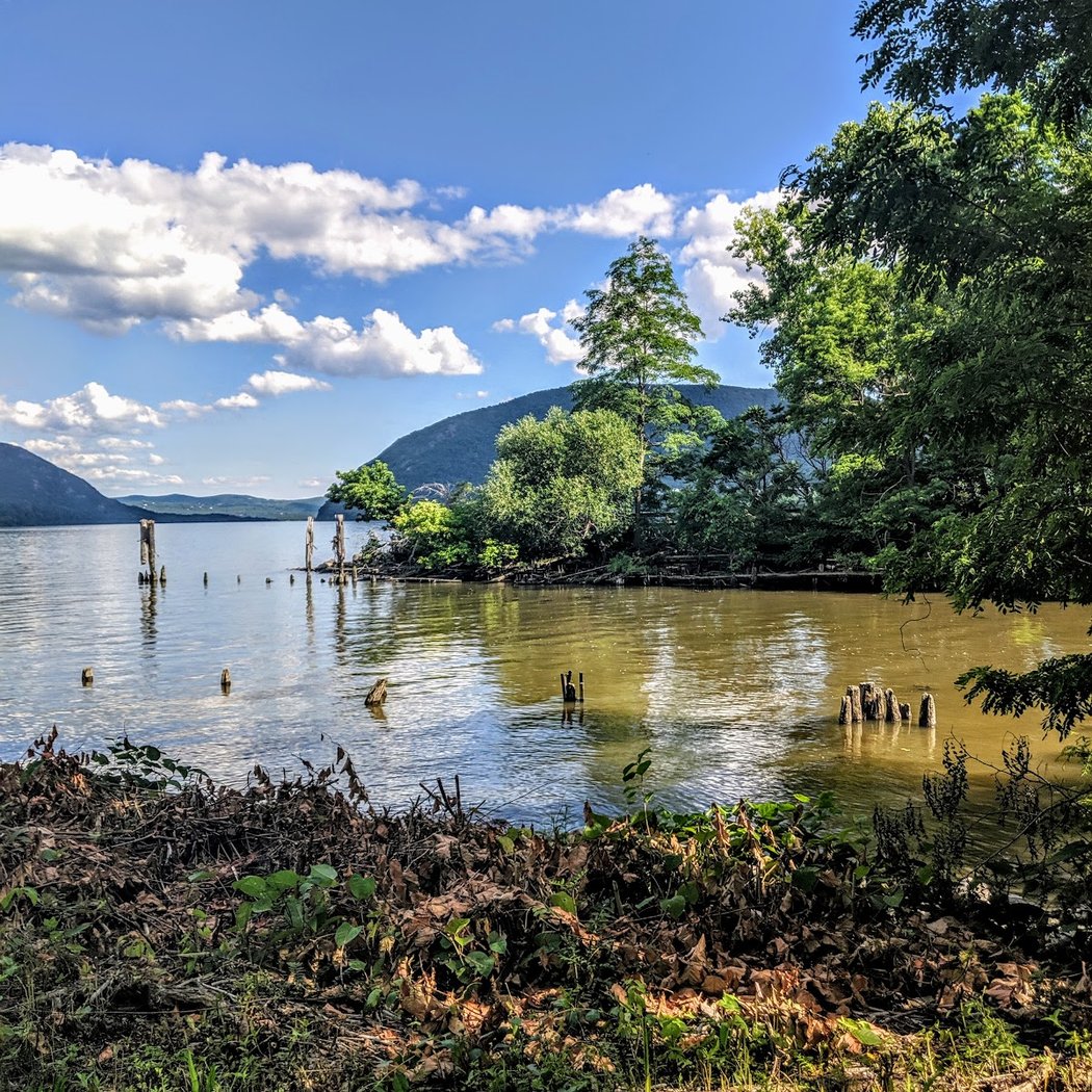 Plum Point Park 2