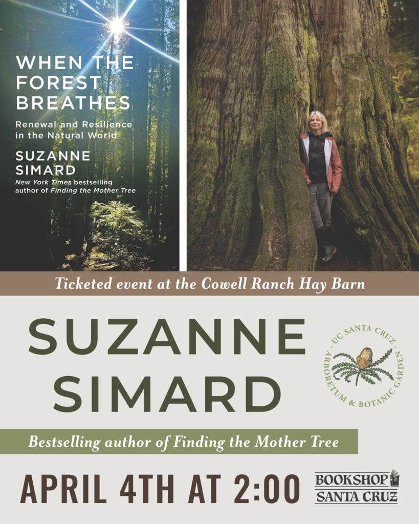 When the Forest Breathes - Suzanne Simard 1