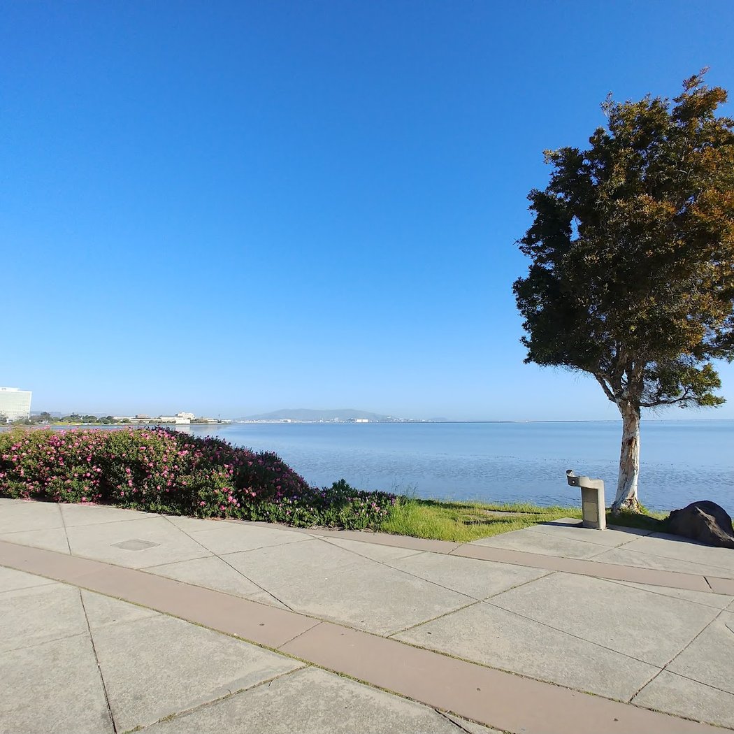 Bayside Park 1