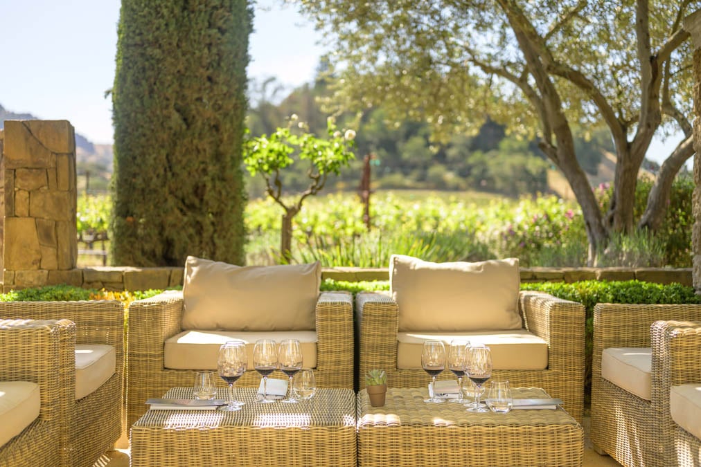 Cliff Lede Vineyards 1