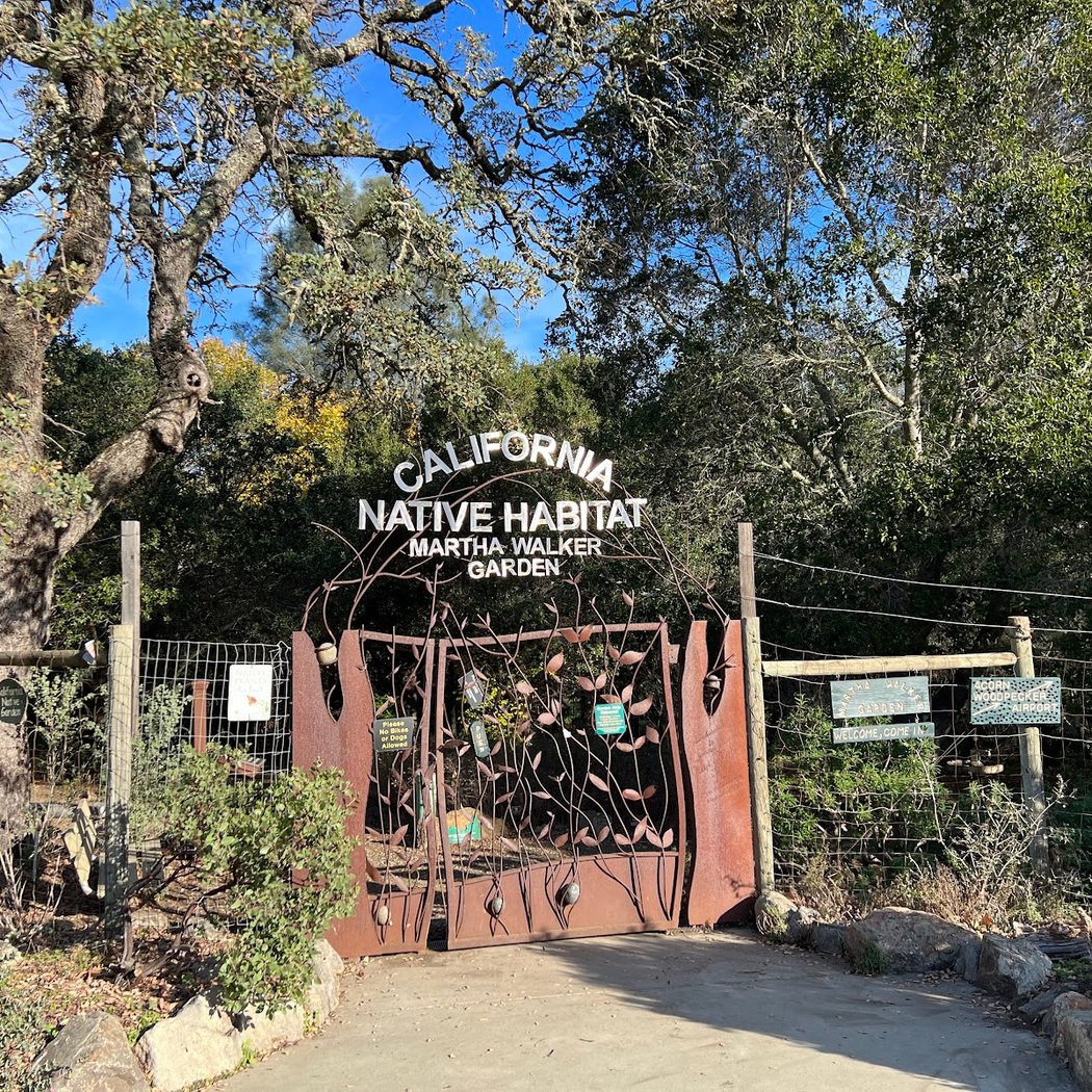 Martha Walker Native Habitat Garden 2