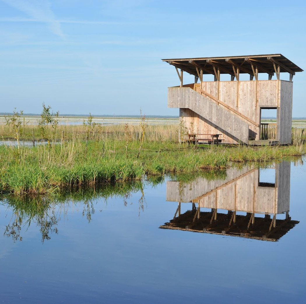 Balade nature et observation