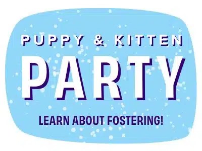 Puppy & Kitten Party 2026 1