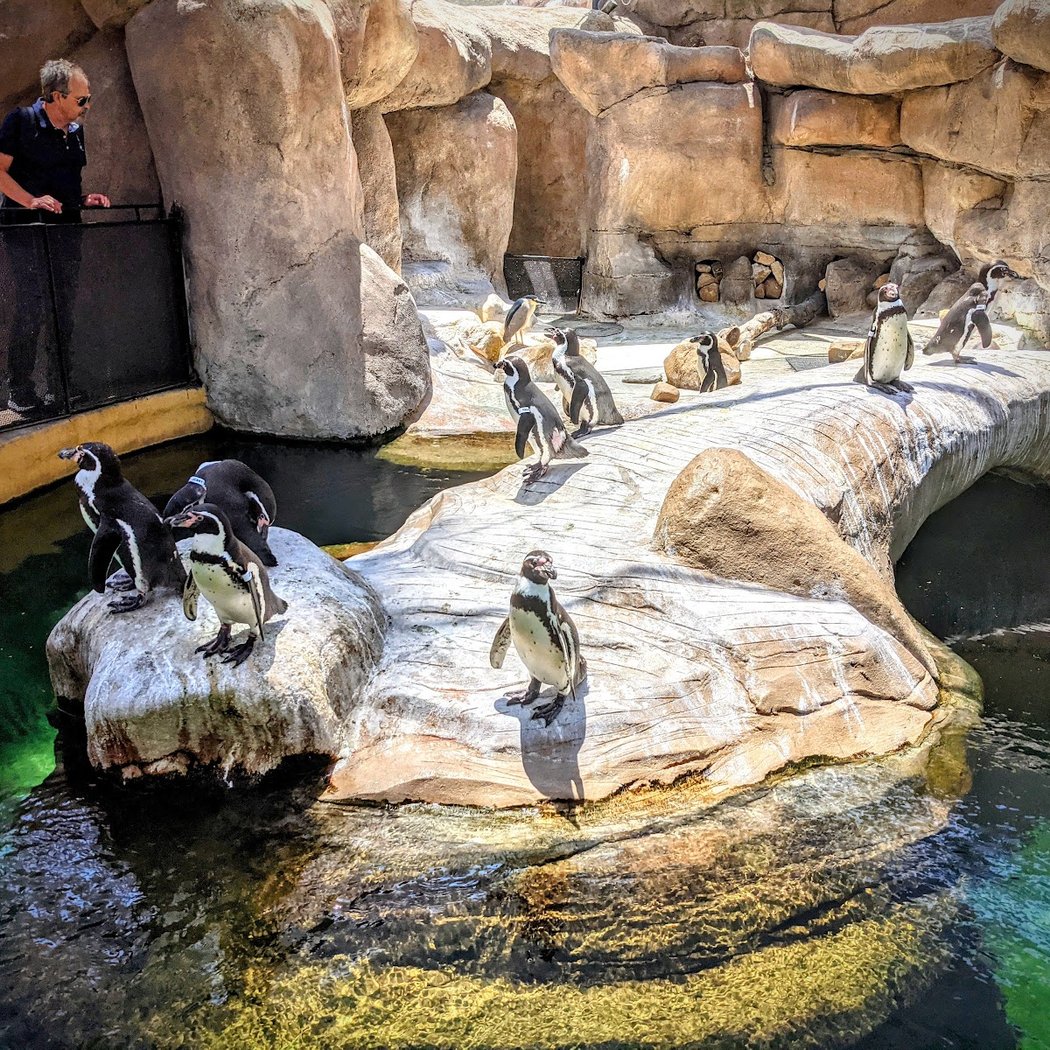 Father's Day at the Zoo 2