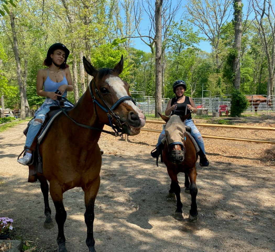 Bethpage Equestrian Center 1