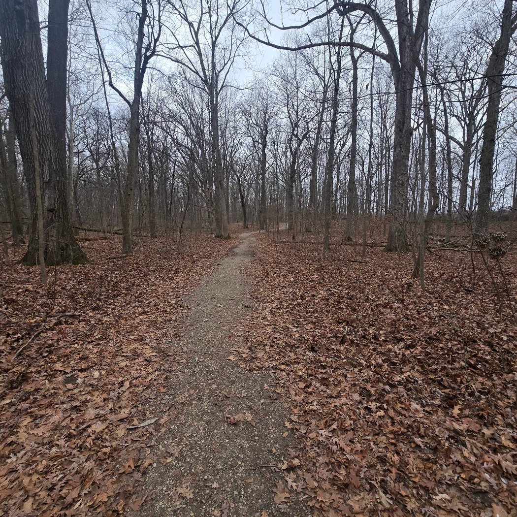 Oakwoods Metropark Nature Center 3