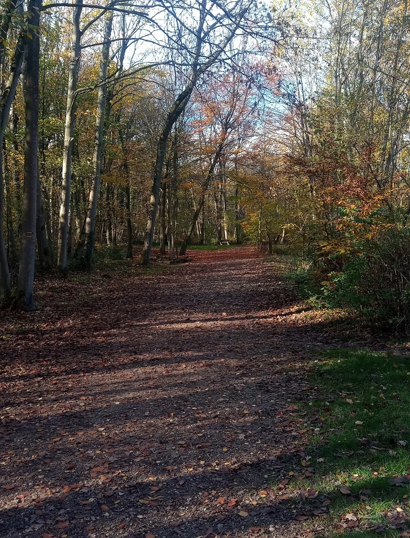 Forêt Régionale de Bondy 3