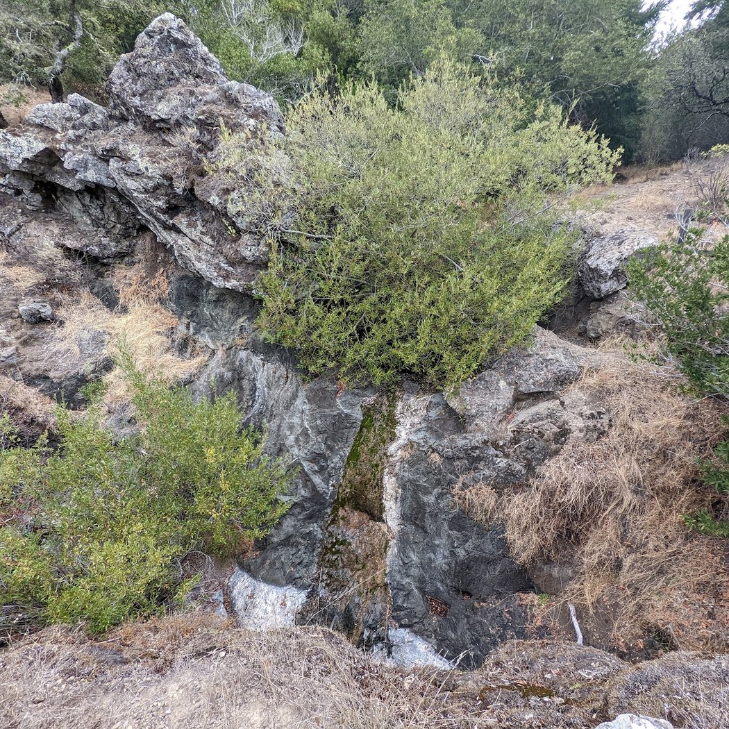 Mount Tam Watershed Trailhead 3