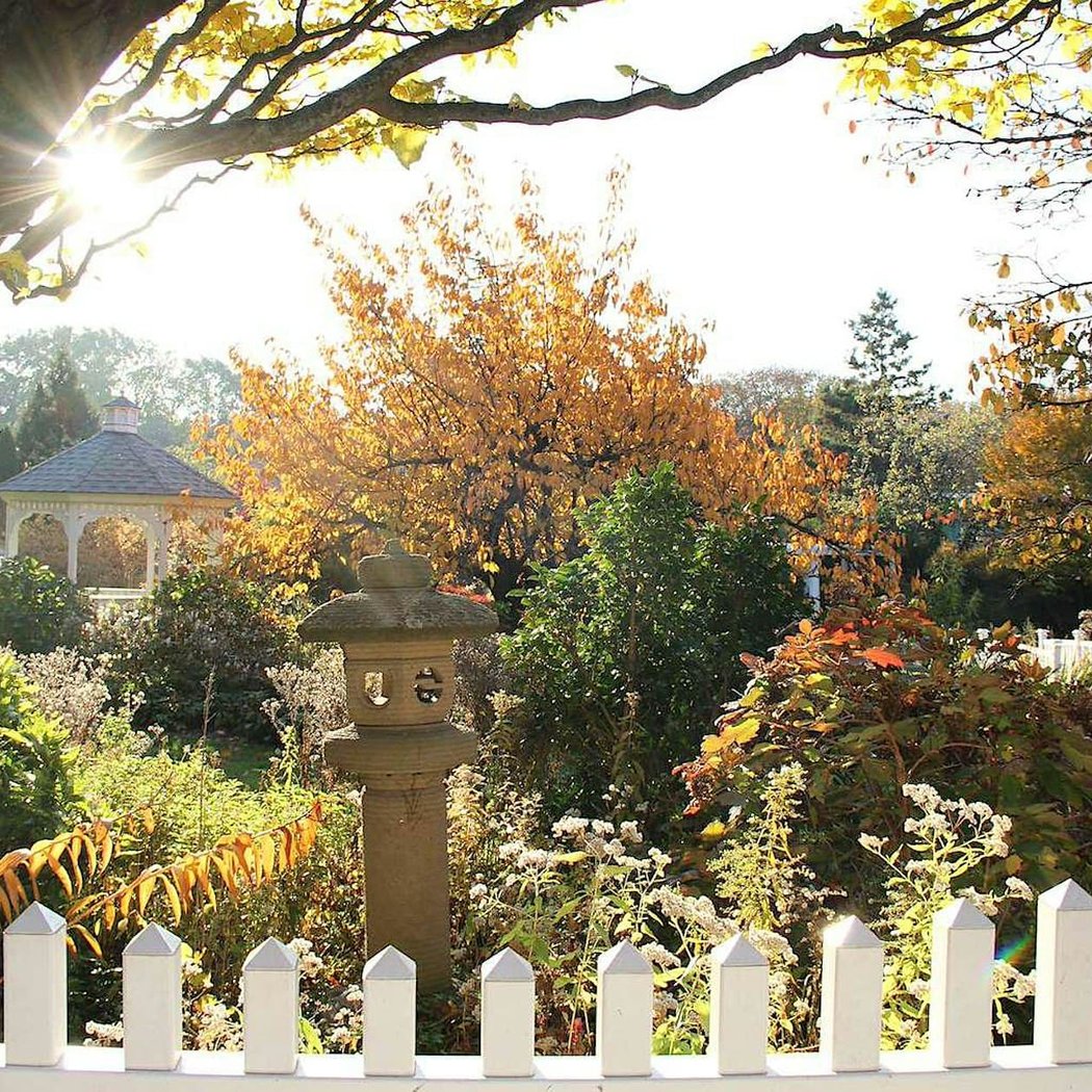 Autumnal Garden Tour with Horticulture Director Andi Pettis