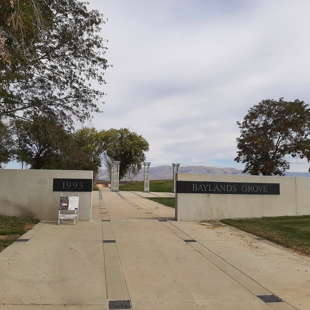 Baylands Grove 3