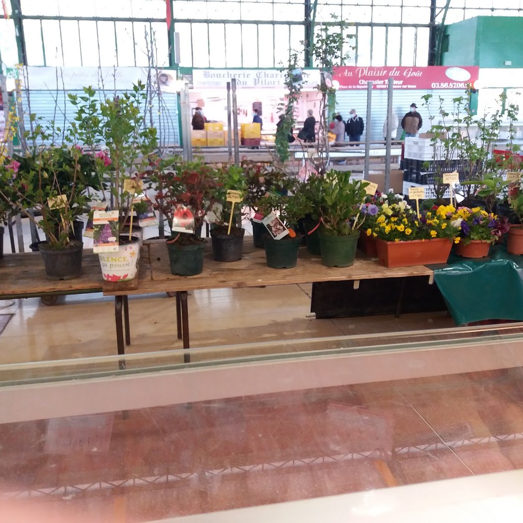Marché couvert de Joigny 3