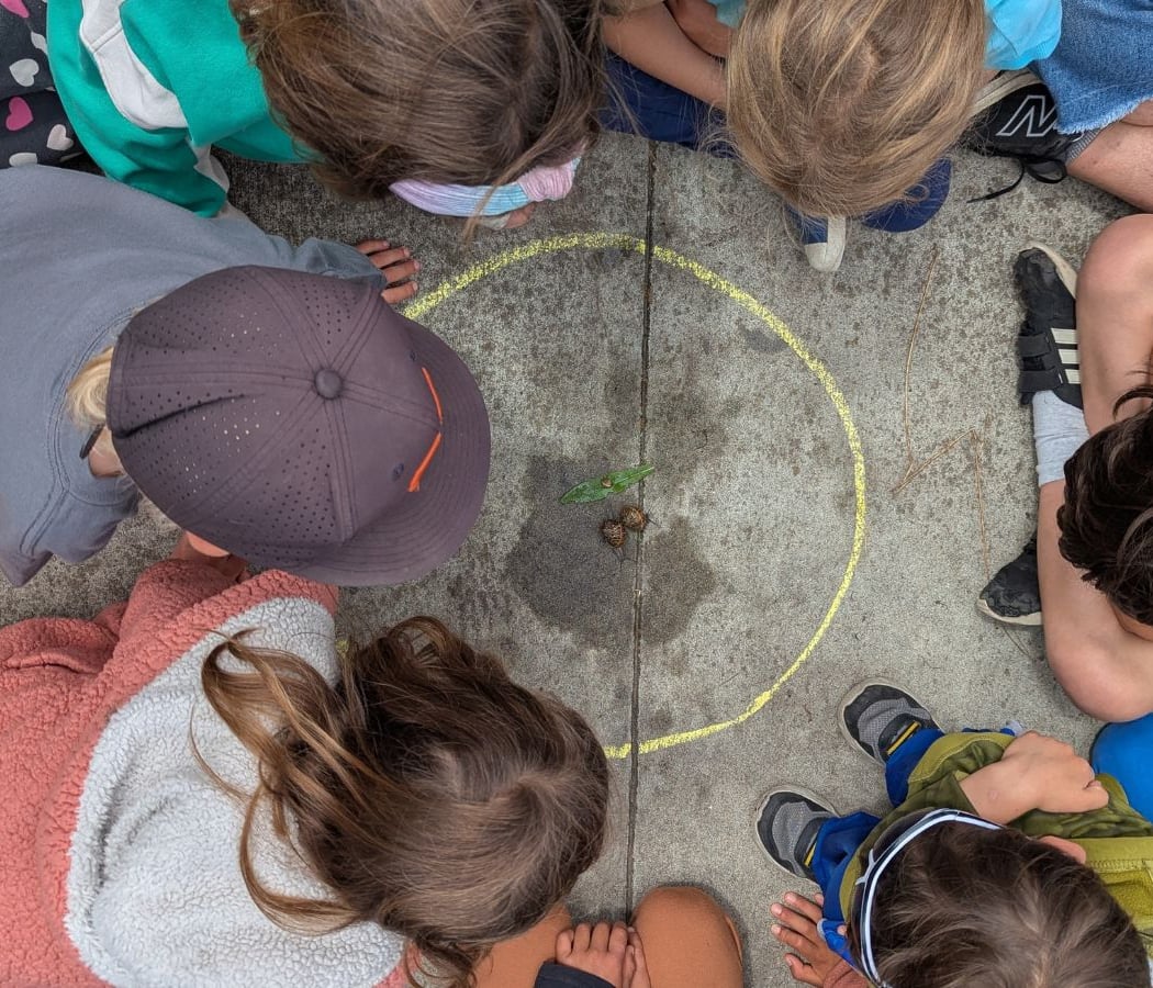 Incredible Invertebrates Summer Camp 3