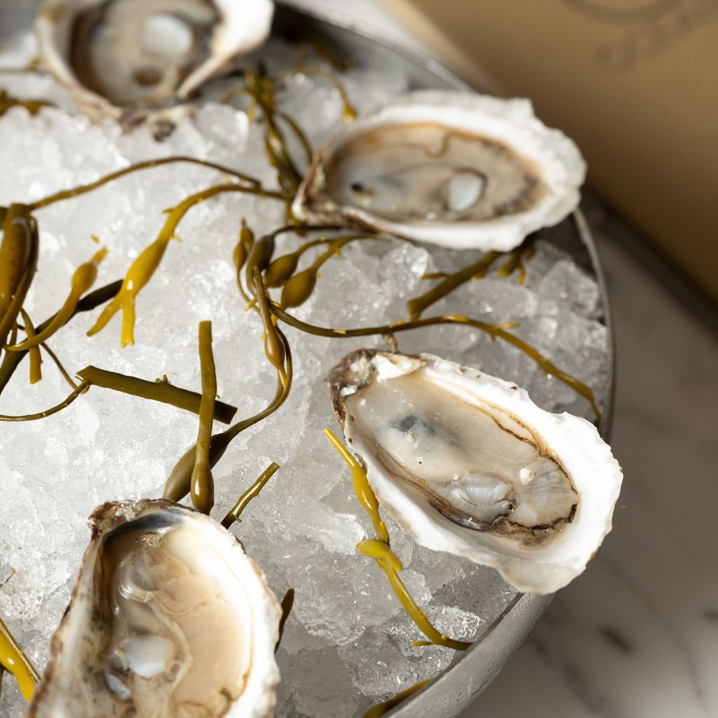 Oyster Social: Billion Oyster Project 1