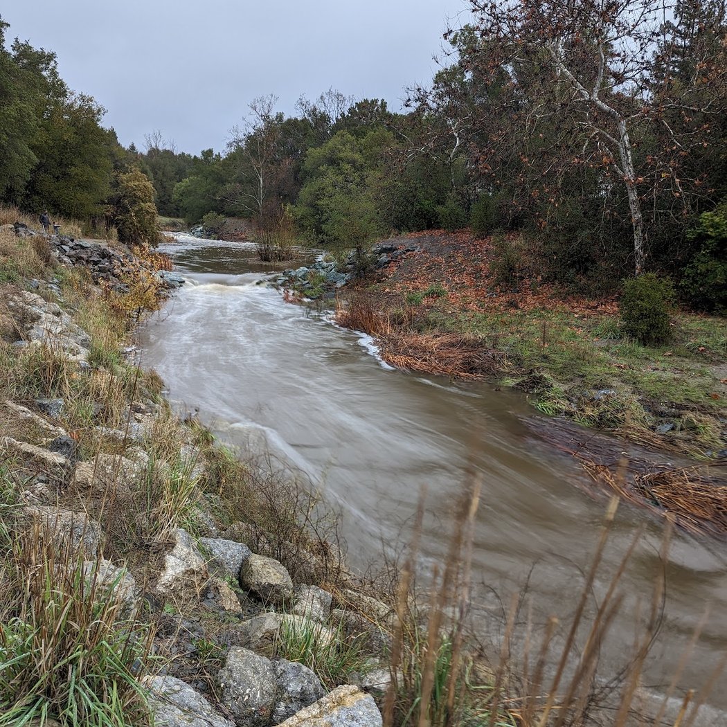 Alamo Creek Park 3