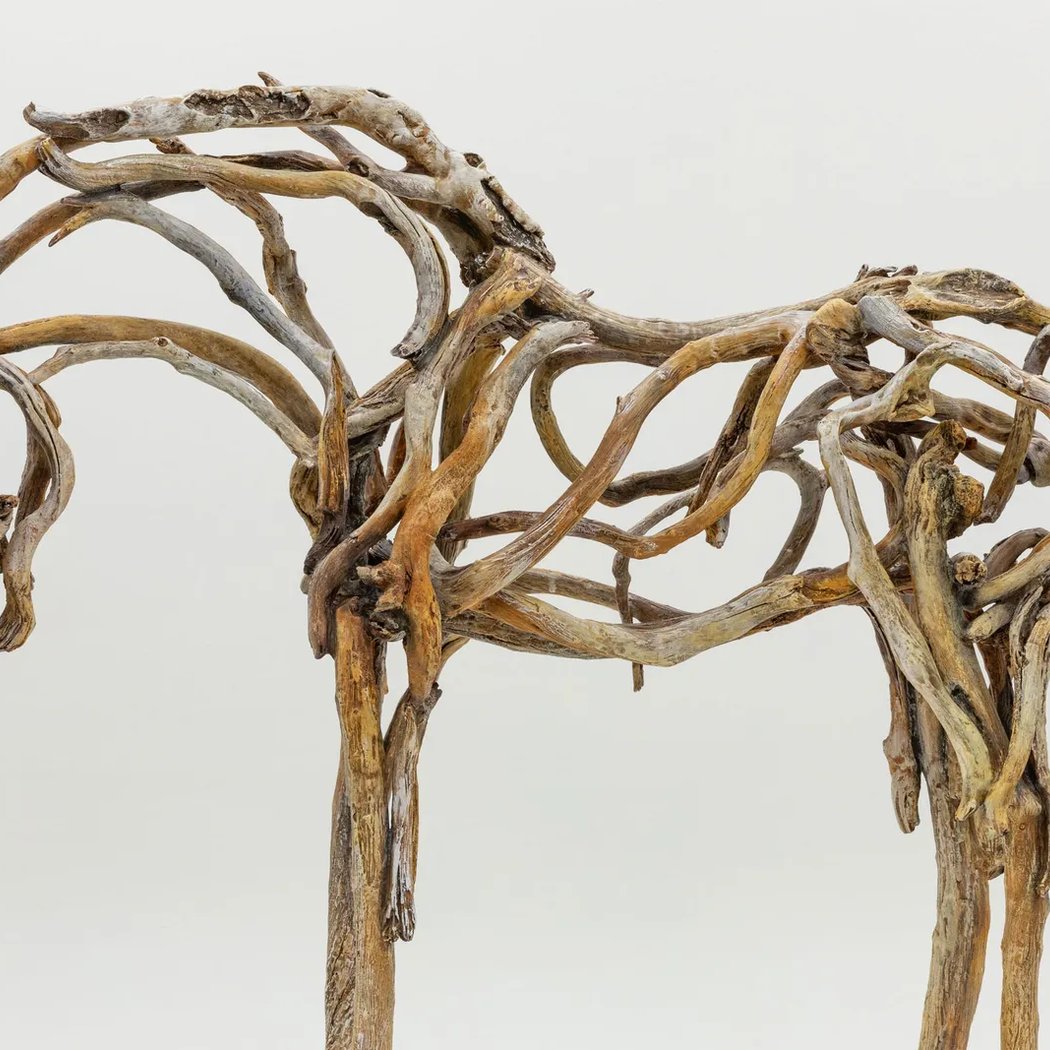 Deborah Butterfield 1