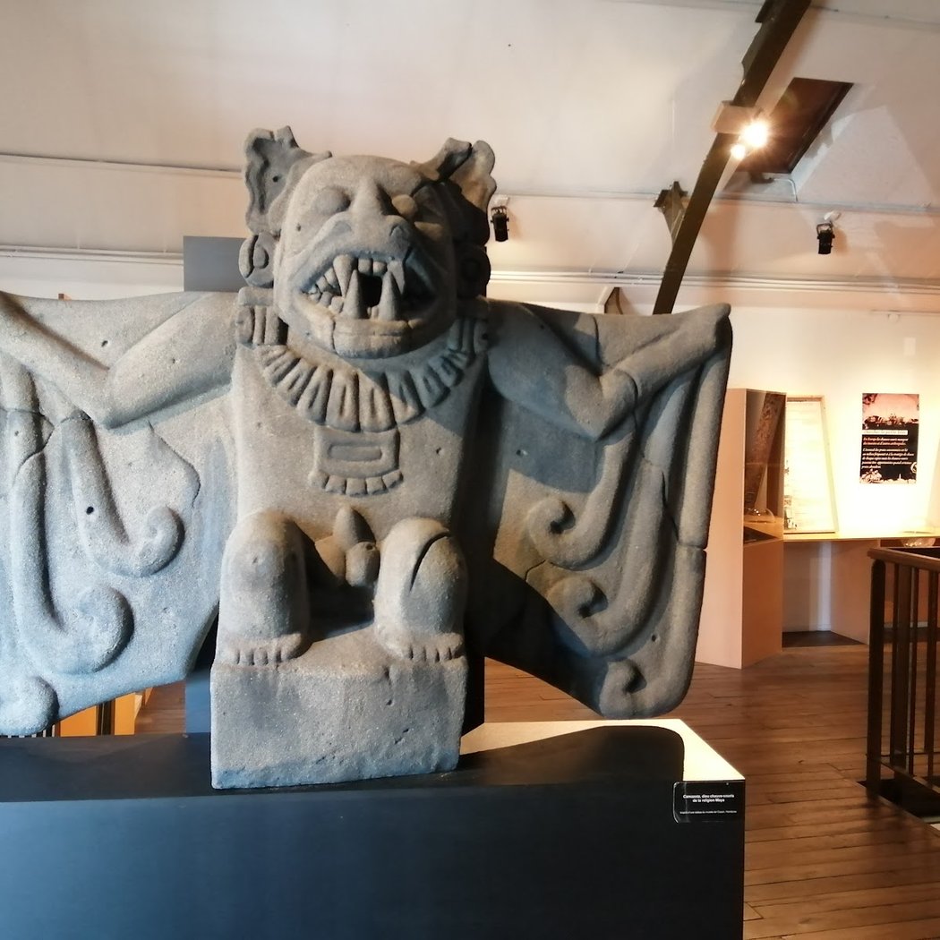 Muséum d'Histoire Naturelle 3