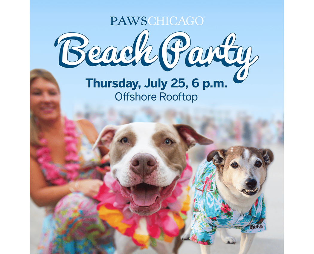 PAWS Chicago Beach Party 1