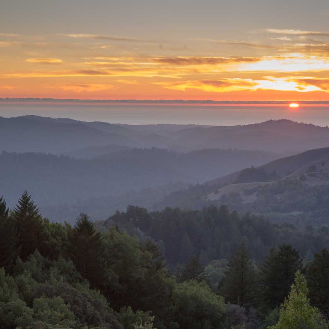 Santa Cruz Mountains 1