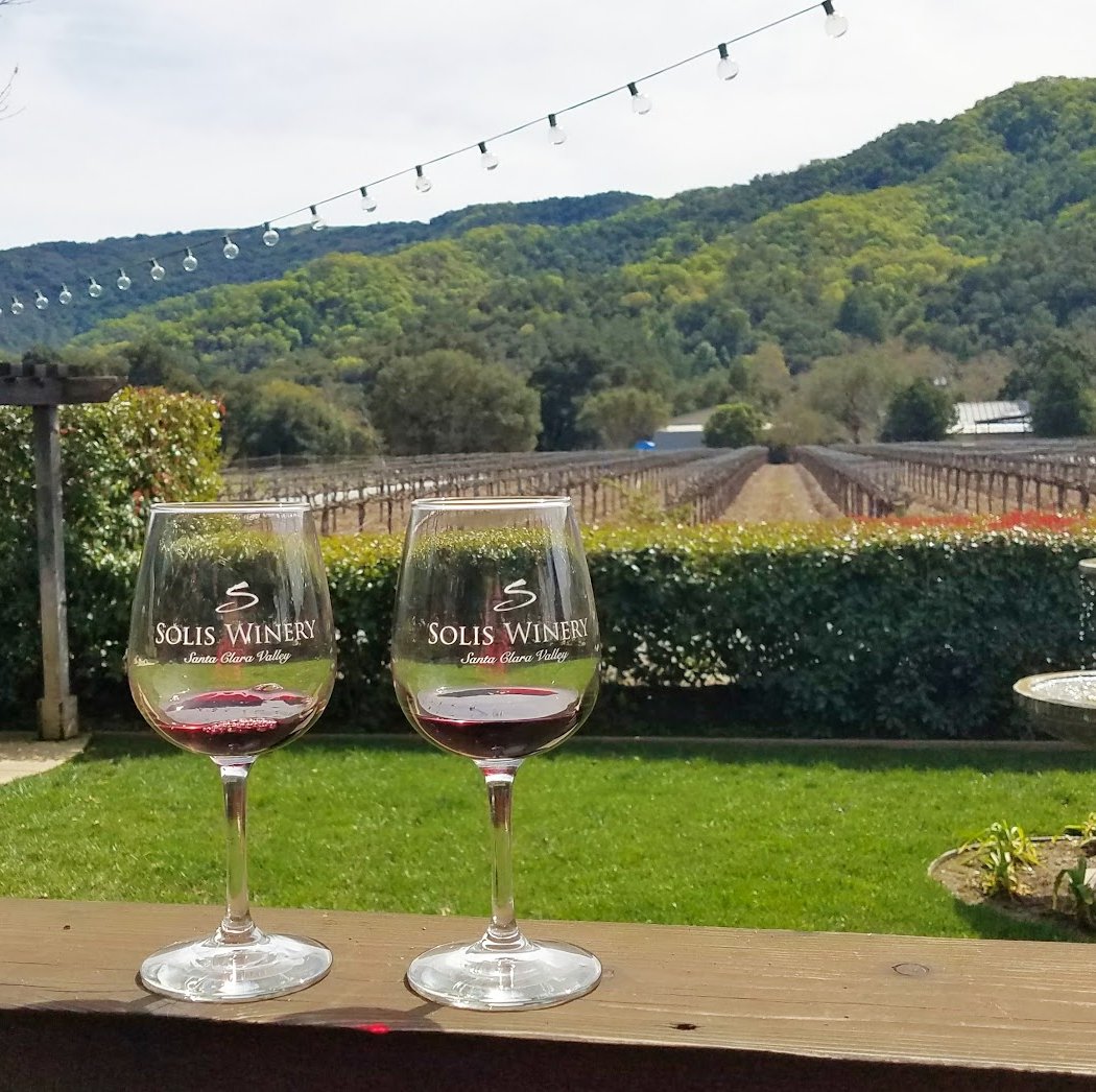 Music in the Vineyard 2