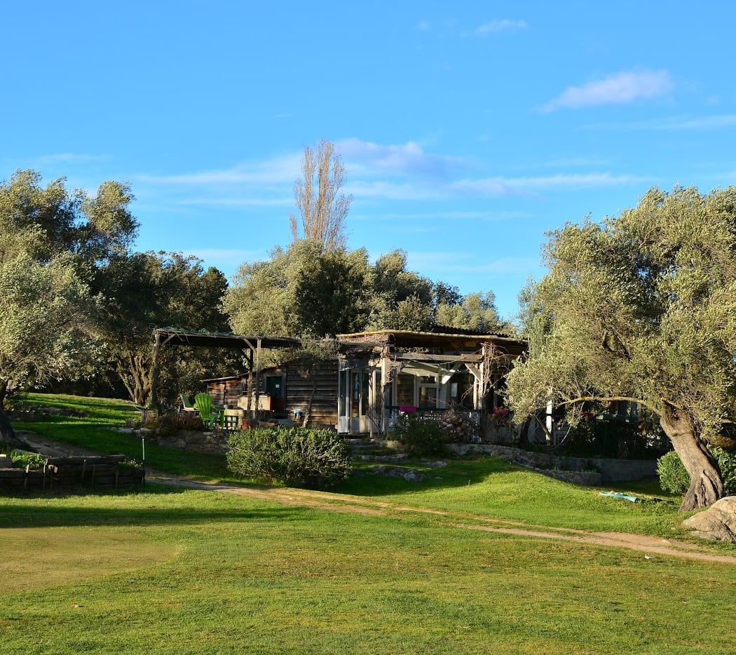 Golf Reginu 2