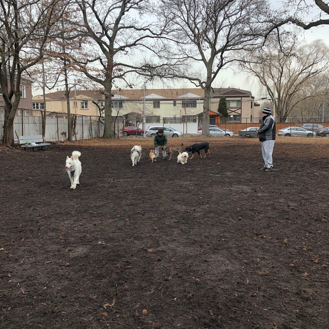 Underbridge Dog Run 2