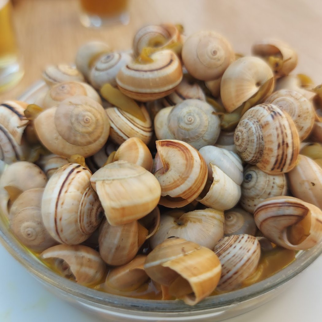 Cerveceria Mediterráneo 1