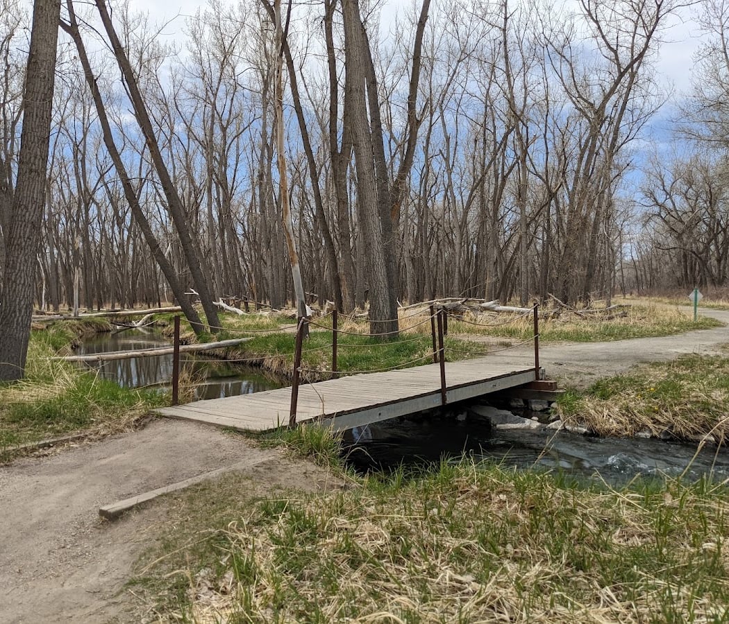Guided Bird Walk 3