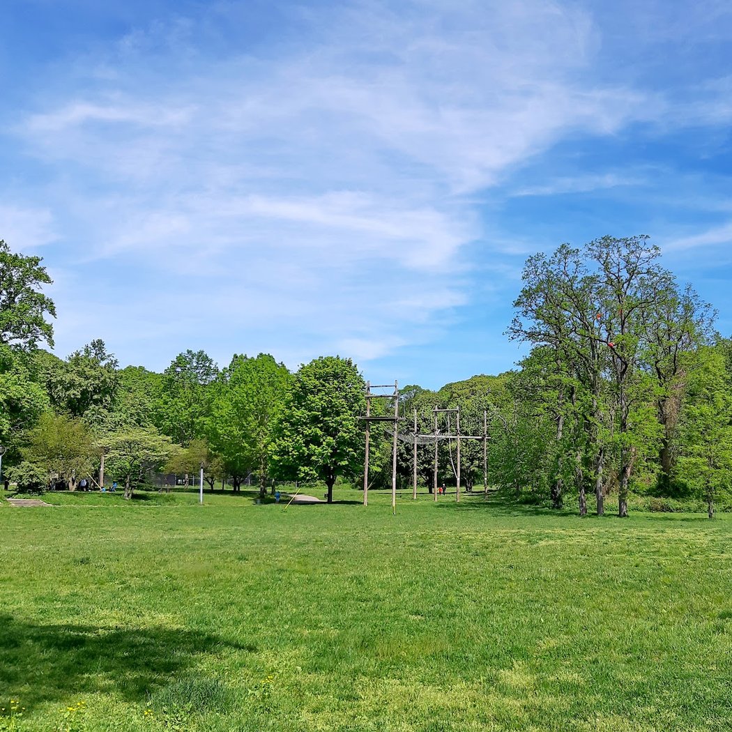 Free Public Adventure Course (zip line, rock wall, ropes) 3