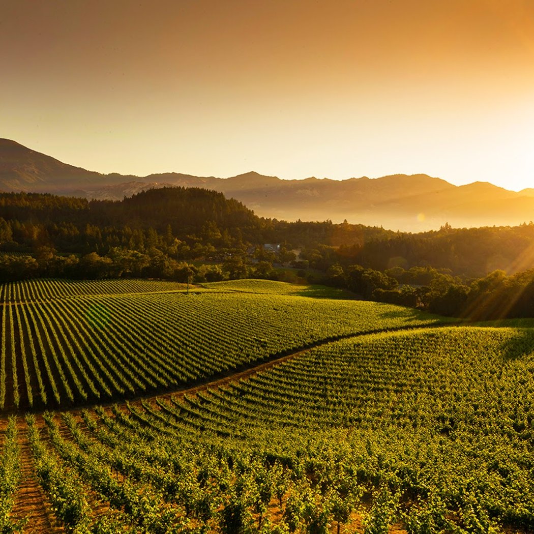 Under the Harvest Sun 1