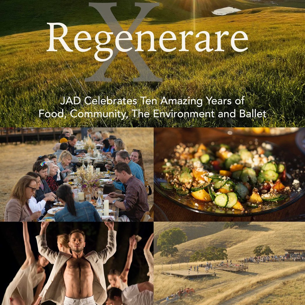 JADexperience 1